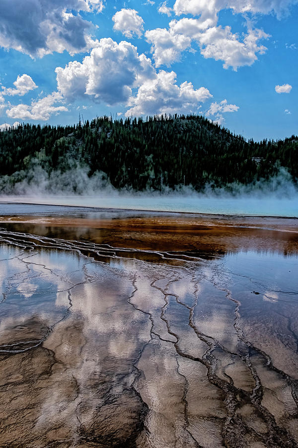 Yellowstone Reflections Photograph by Tom Singleton