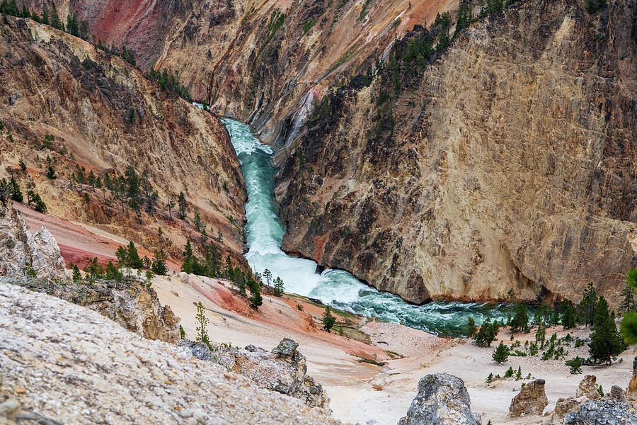 Yellowstone River and Canyon Photograph by Rose Guinther