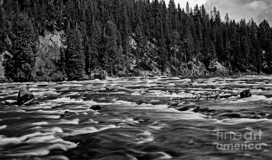 Yellowstone River Black and White Photograph by Robert Bales