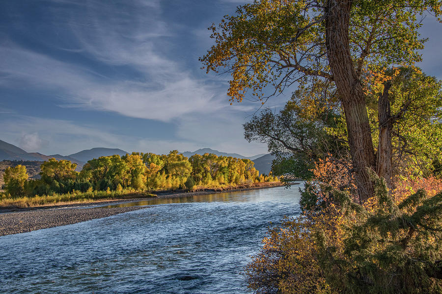Yellowstone River Fall Photograph by Marcy Wielfaert