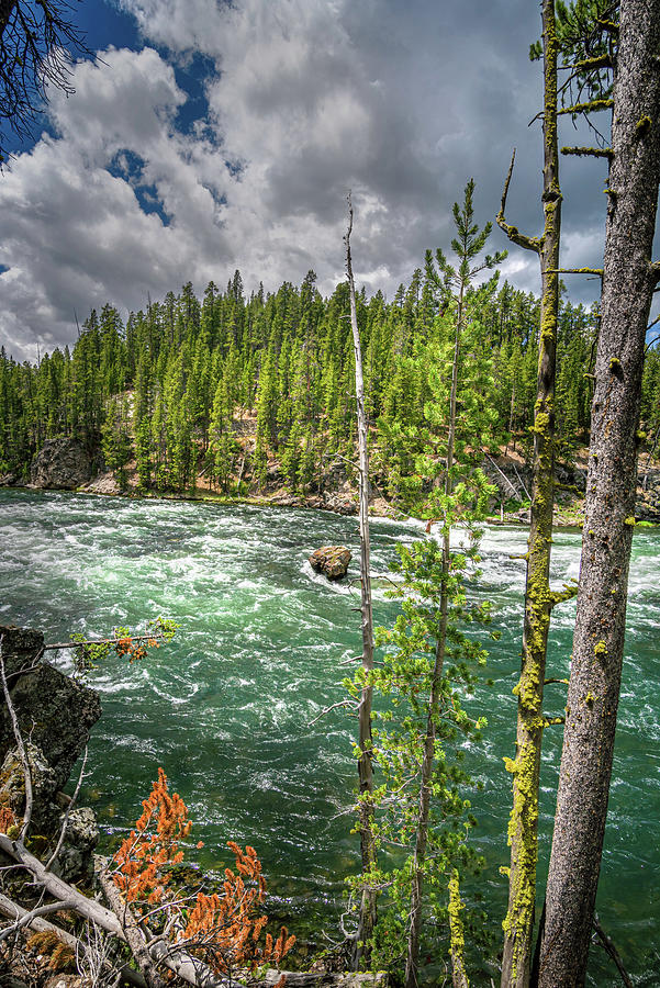 Yellowstone River Photograph by Gary Felton