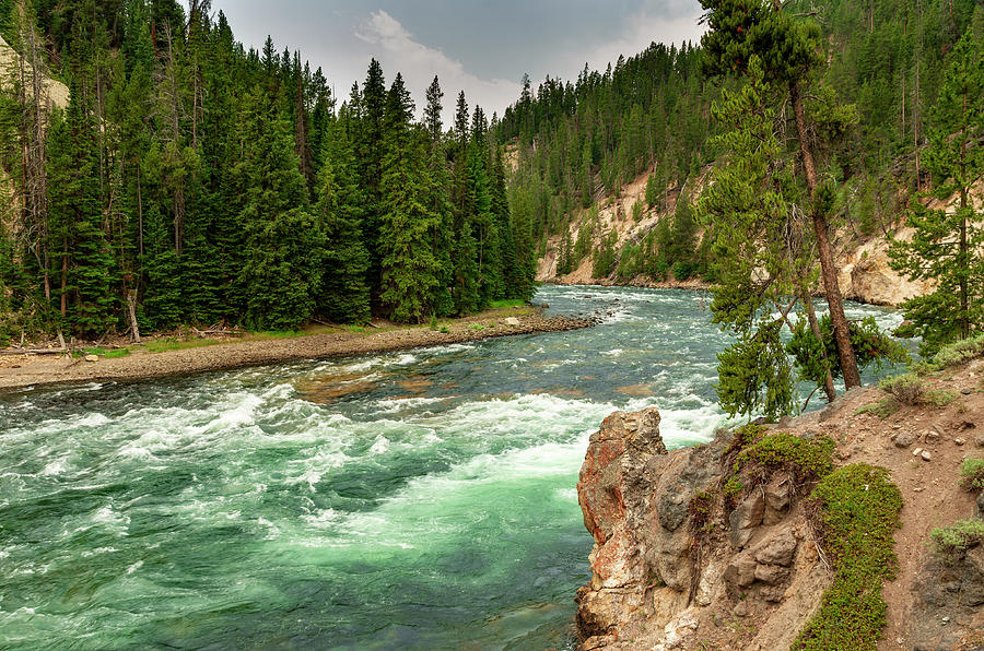 Yellowstone River Photograph by Matthew Miller - Fine Art America