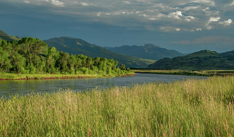 Yellowstone River Perfection Photograph by Marcy Wielfaert