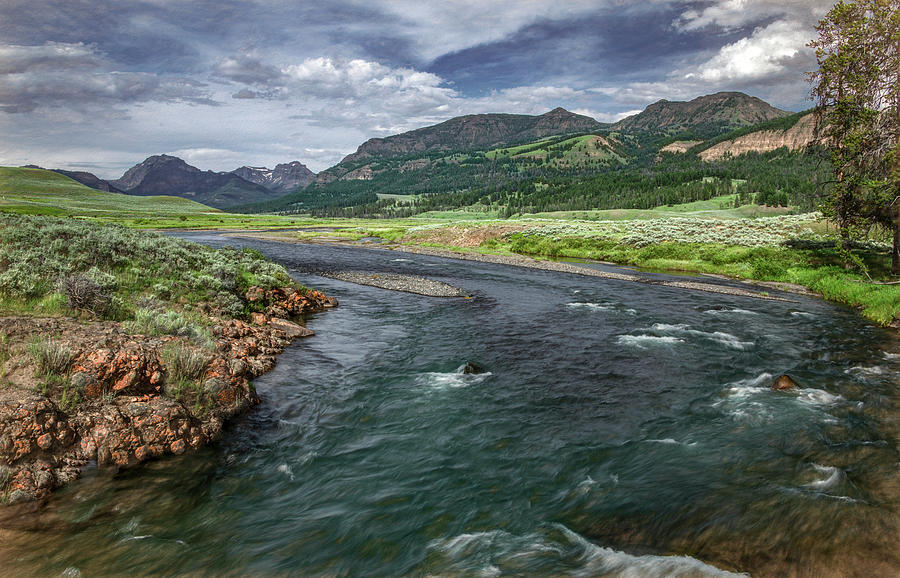 Yellowstone River Through Lamar Valley Photograph by Marcy Wielfaert