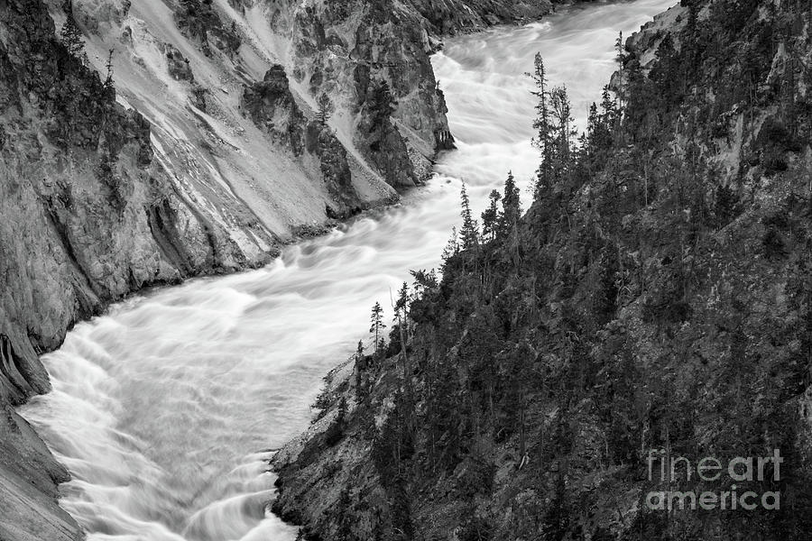 Yellowstone River Photograph by Vincent Bonafede