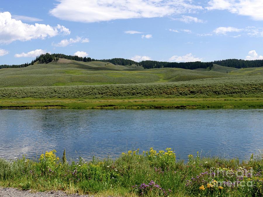 Yellowstone River with flowers Photograph by On da Raks
