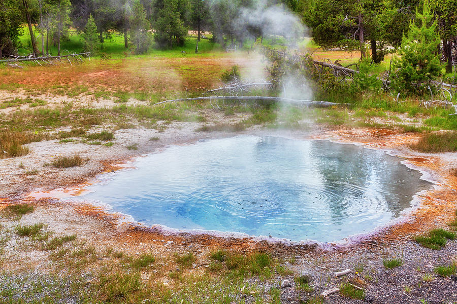 Yellowstone small steamy pool Photograph by Tatiana Travelways
