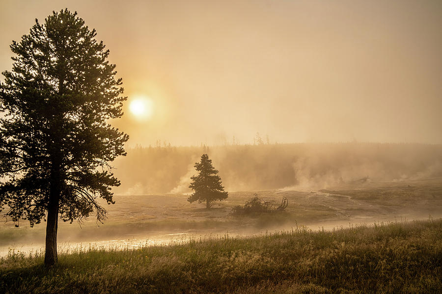 Yellowstone Sunrise Photograph by Gary Felton