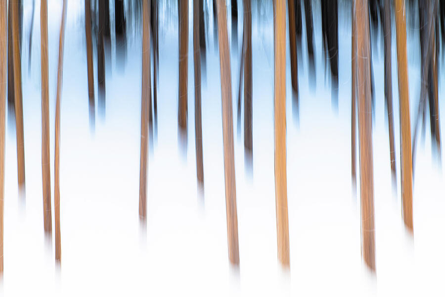 Abstract Photograph - Yellowstone by Ted Hesser Abstract Photograph - Yellowstone by Ted Hesser