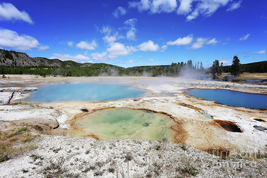 Yellowstone thermal pools Photograph by Sylvia Cook