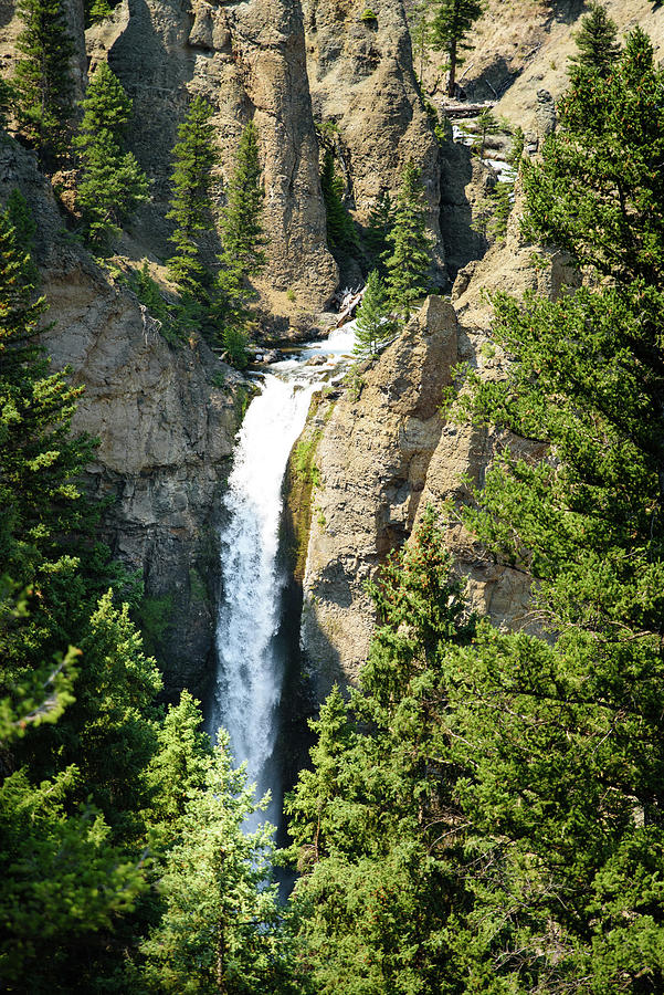 Yellowstone Tower Falls Photograph by Tara Krauss