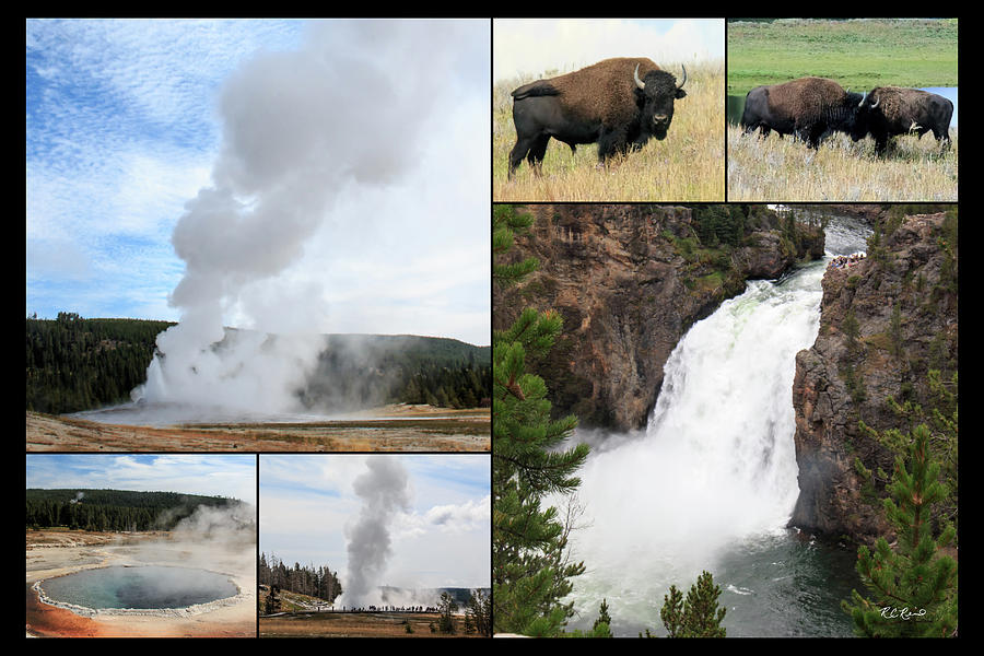Yellowstone WY - U.S. National Parks - Scenic Collage  Photograph by Ronald Reid