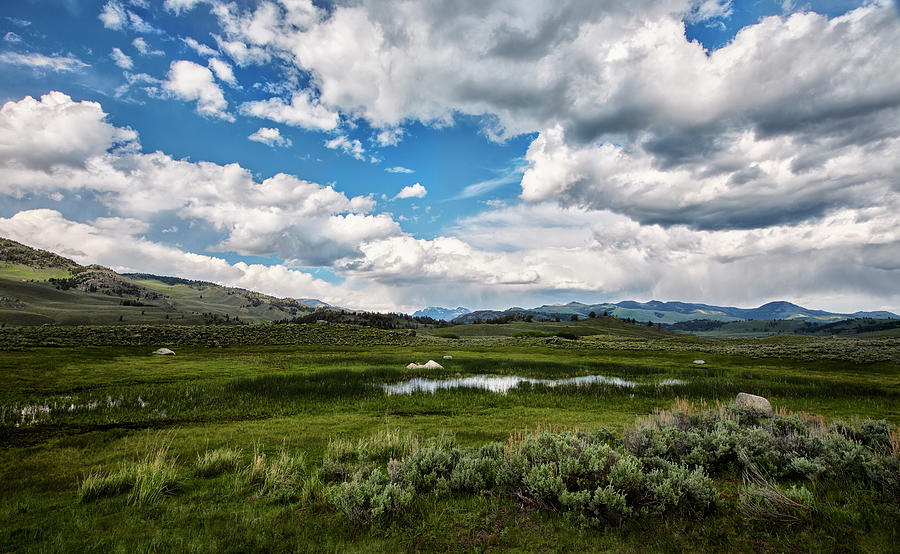 Yellowstone Valley Photograph by Jon Glaser