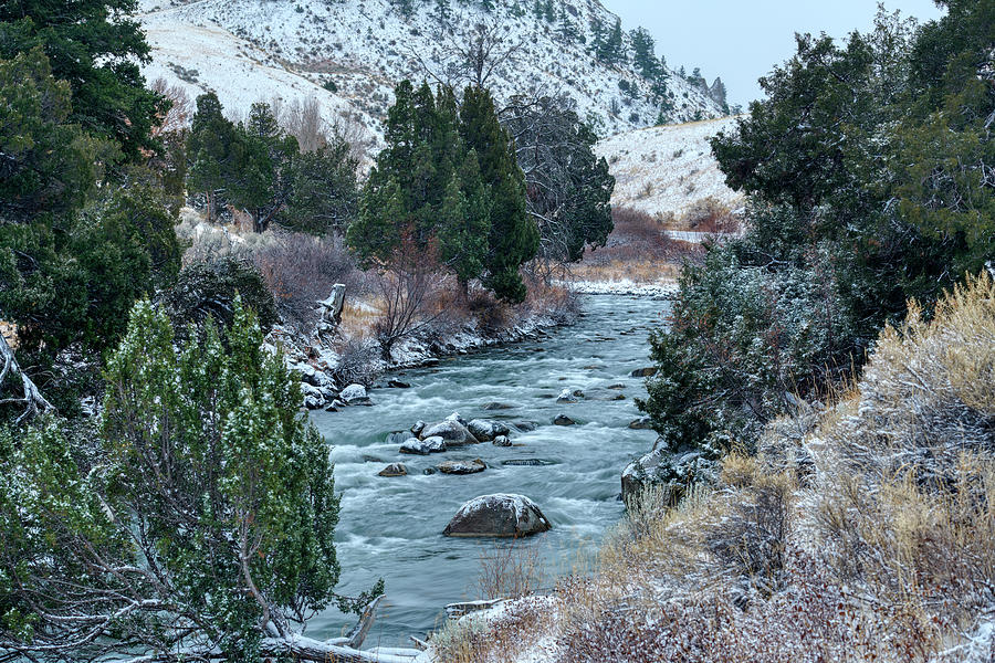 Yellowstone winter scenery Photograph by Paul Freidlund
