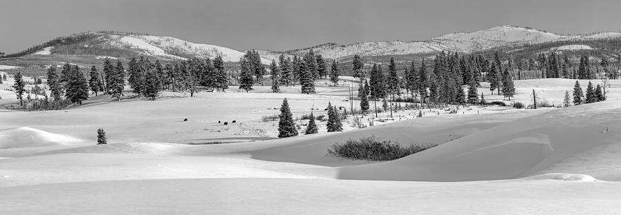 Yellowstone Winter Wonderland Panorama Photograph By Nps Neal Herbert Pixels