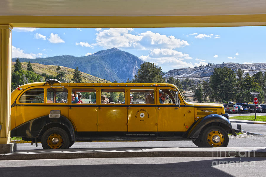 Yellowstone Yellow Bus Photograph
