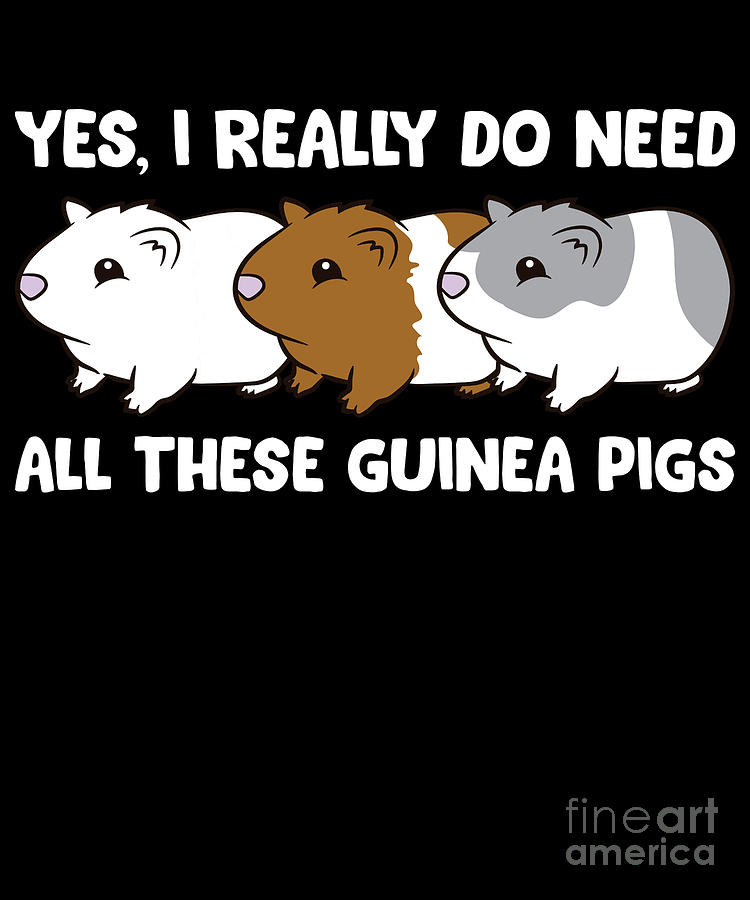 Yes I Really Do Need All These Guinea Pigs Digital Art by EQ Designs ...