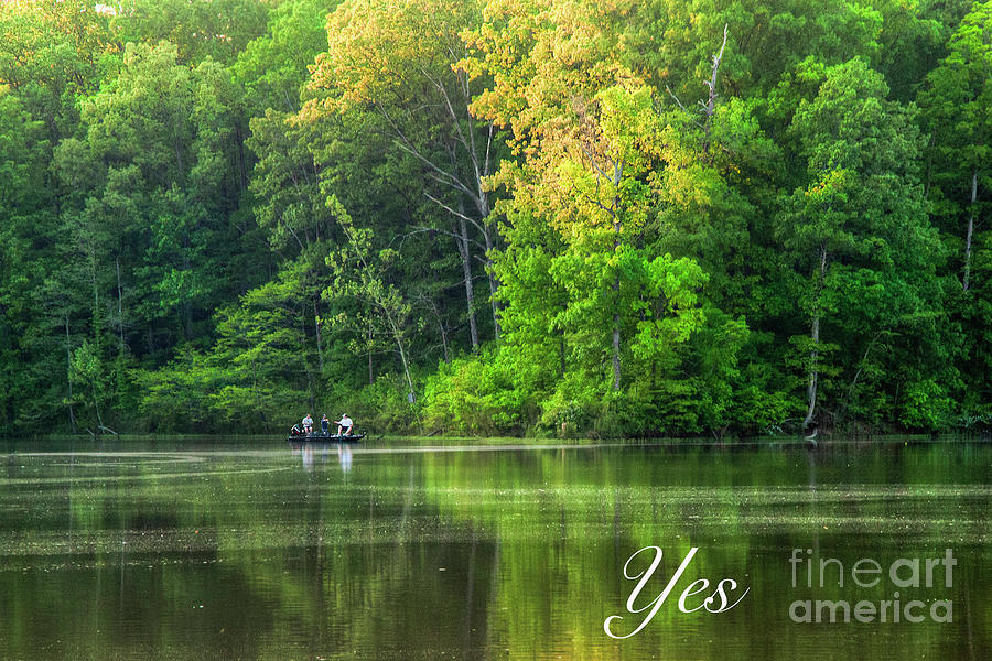 2011 Photograph - Yes by Larry Braun 2011 Photograph - Yes by Larry Braun