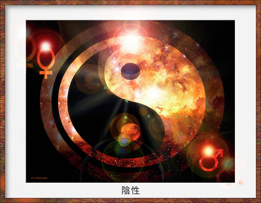 Yin And Yang Symbol, Male And Female Digital Art