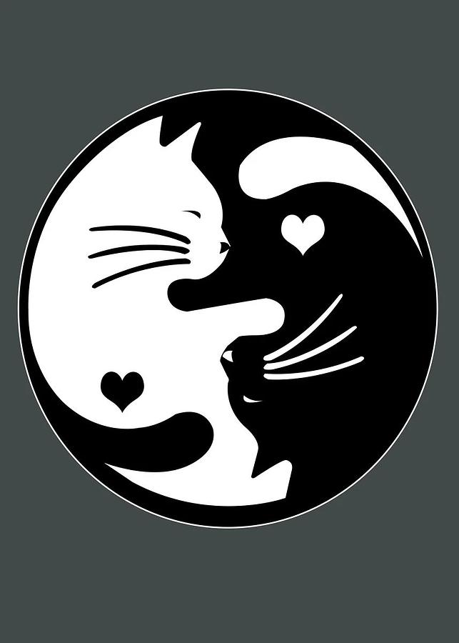 Yin Yang Cat Drawing by Gagarabaca Jimmy - Fine Art America