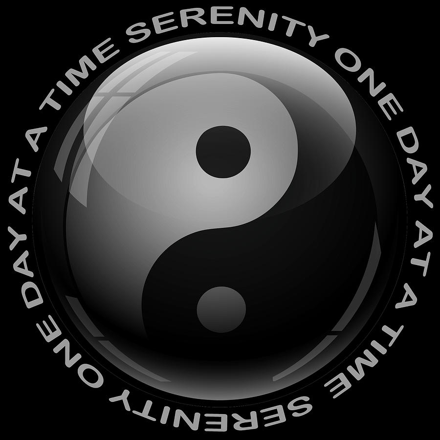 Yin Yang Sobriety Serenity One Day At A Time AA Sober Tee Tees T-Shirt River Painting by Tony Rubino