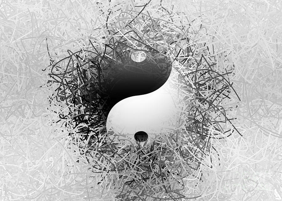 Yin Yang symbol Digital Art by Bruce Rolff