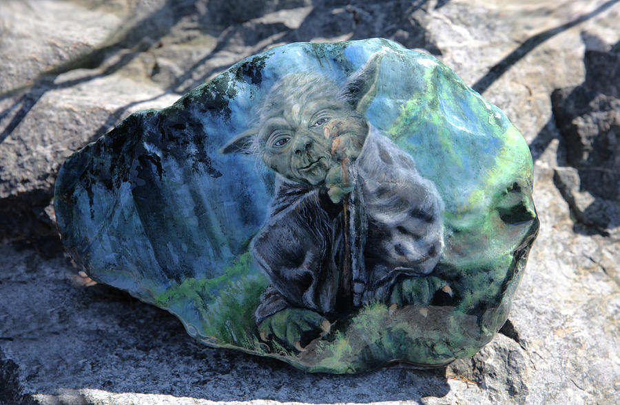 Yoda on a Rock Painting by Tammy Pool