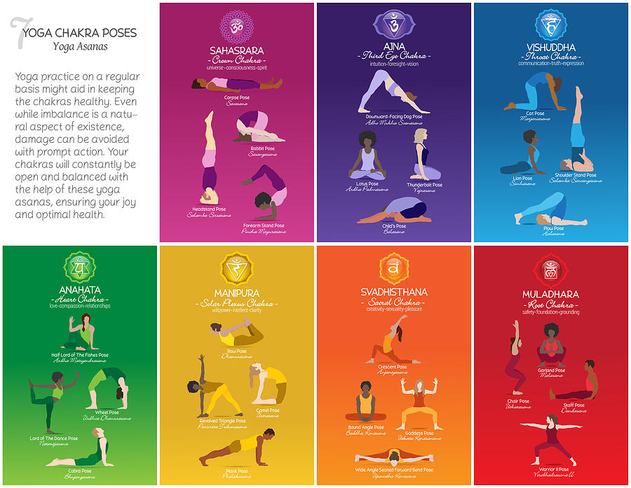 Yoga Chakra Poses Chart - 83L Digital Art by Serena King