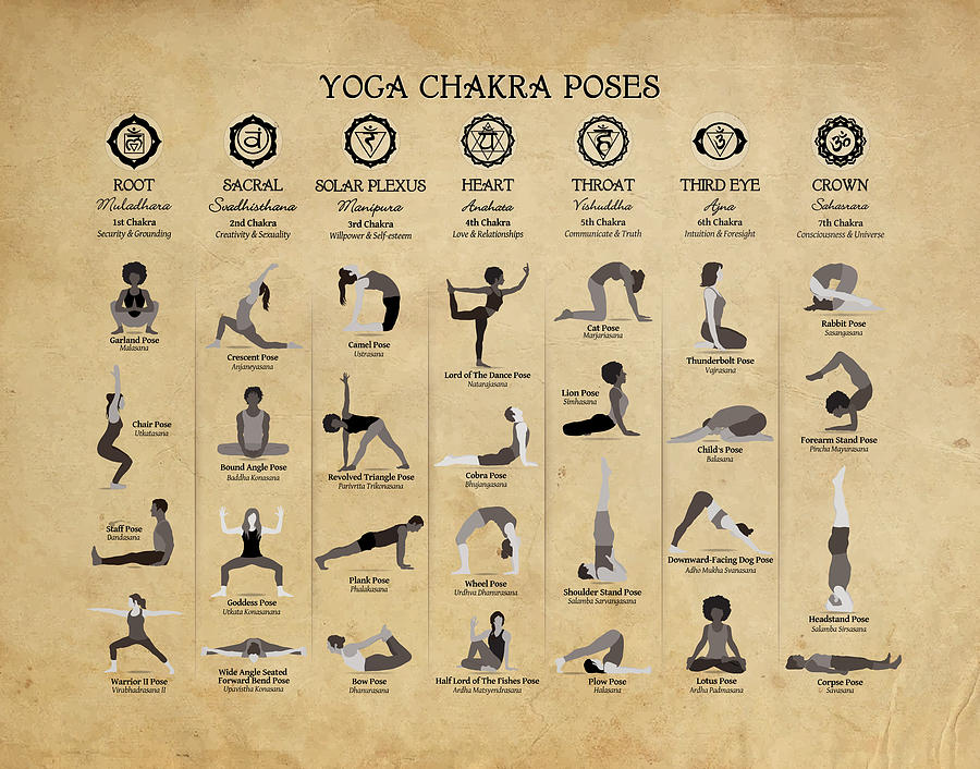 Yoga Chakra Poses Poster - 74 Old Paper Grunge Digital Art by Serena King