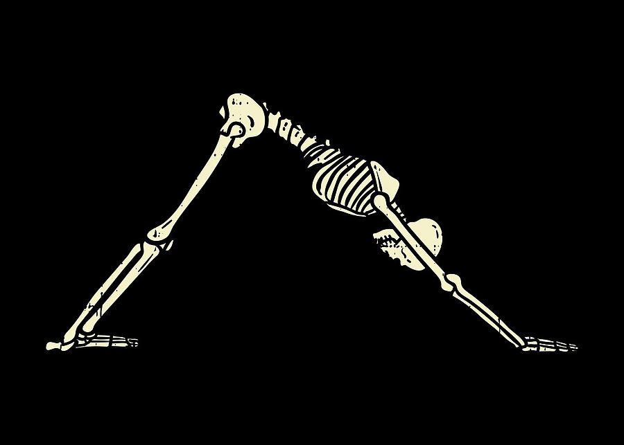 Yoga Downward Dog Skeleton Yoga Digital Art by Morein Mahoney