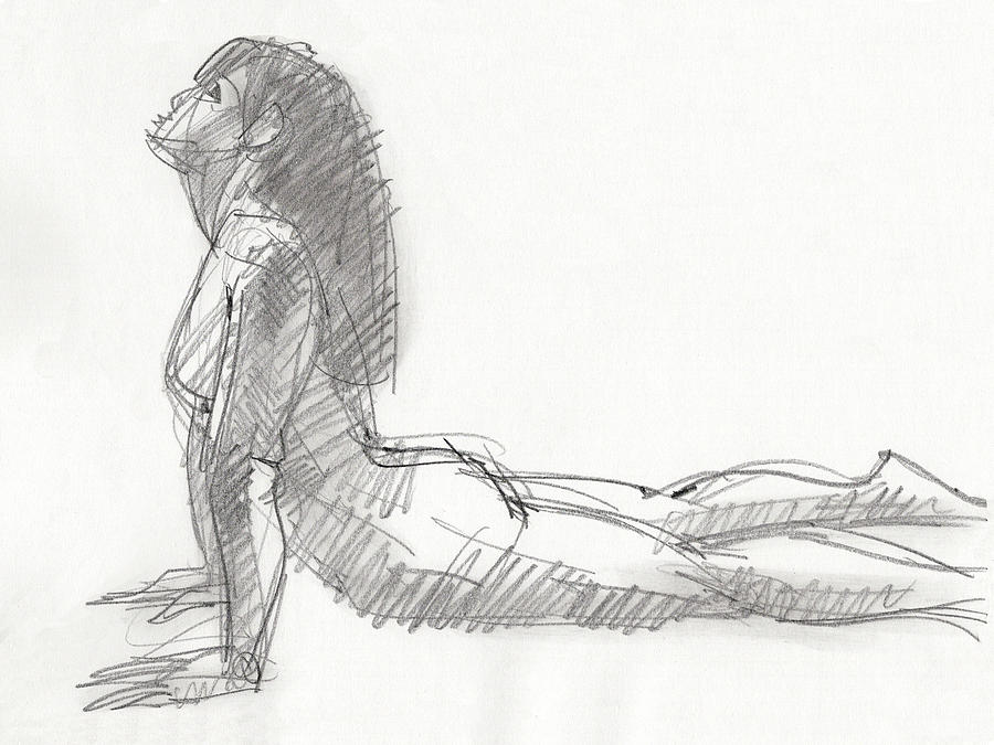 Yoga study Uin 21-6 Drawing by Judith Kunzle