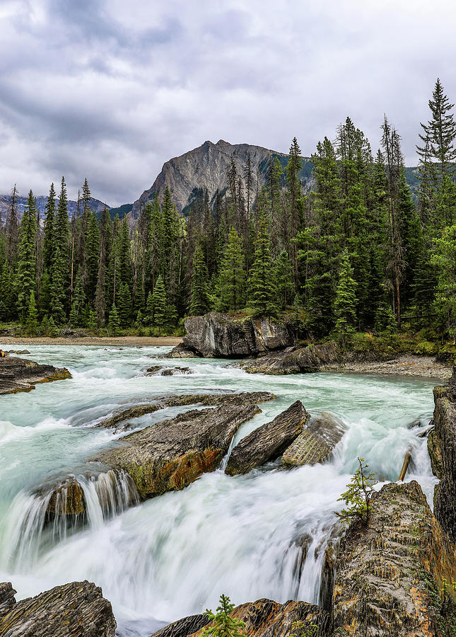 Banff National Park Photograph - Yoho National Park Natural Bridge by Dan Sproul