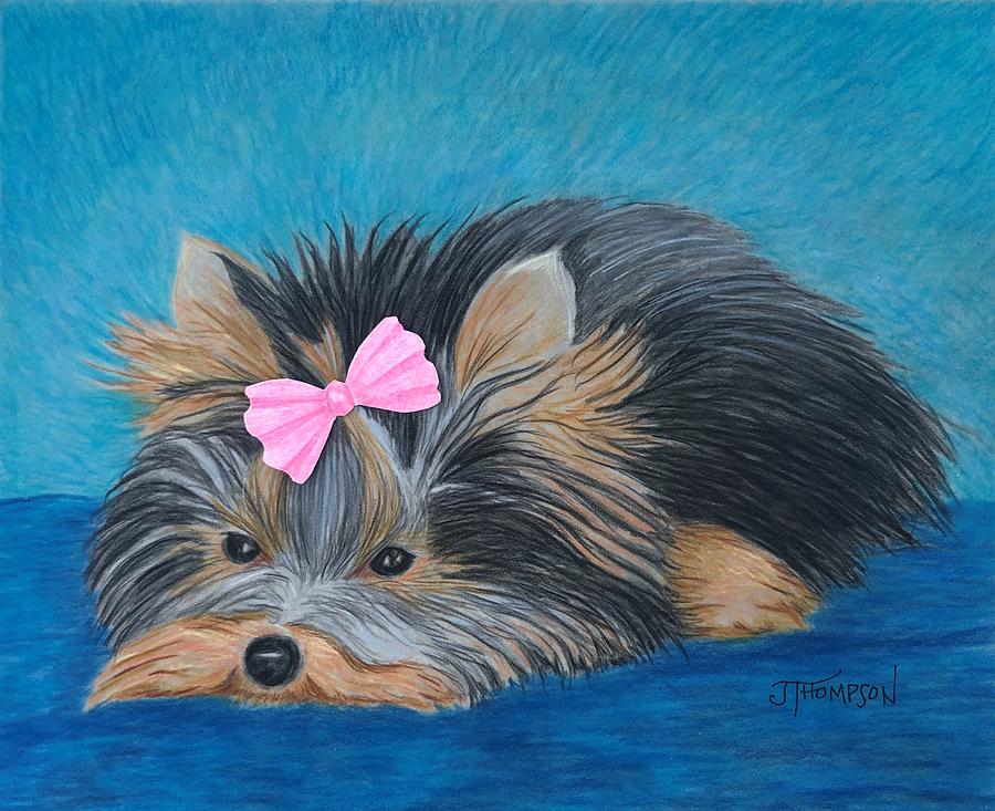 Yorkie with Pink Bow Drawing by Judy Thompson