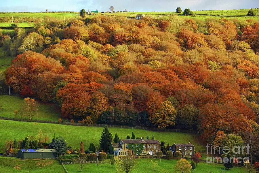 Yorkshire farmhouse in fall. Photograph by David Birchall