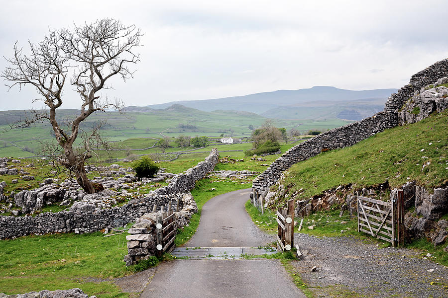 Yorkshire Scenic Photograph by Nicholas Blackwell