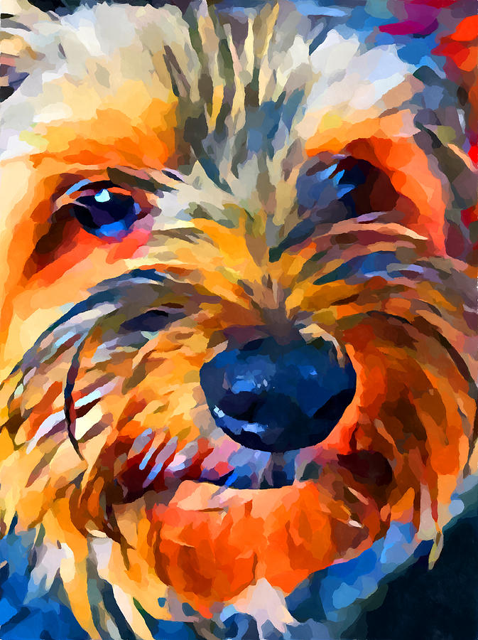 Yorkshire Terrier 3 Painting by Chris Butler