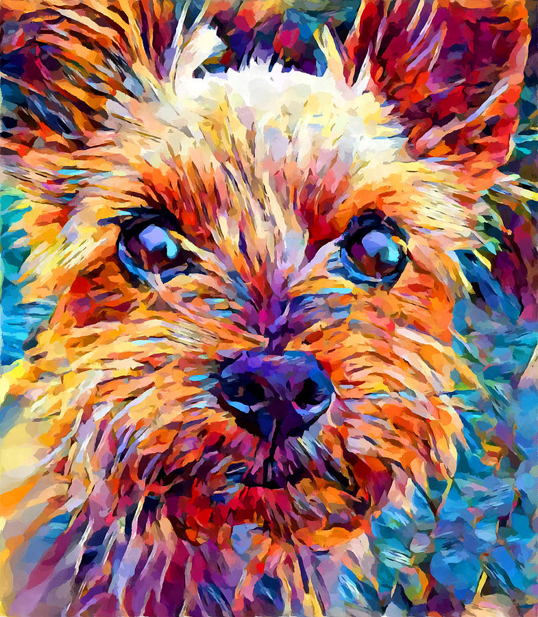Yorkshire Terrier 4 Painting by Chris Butler