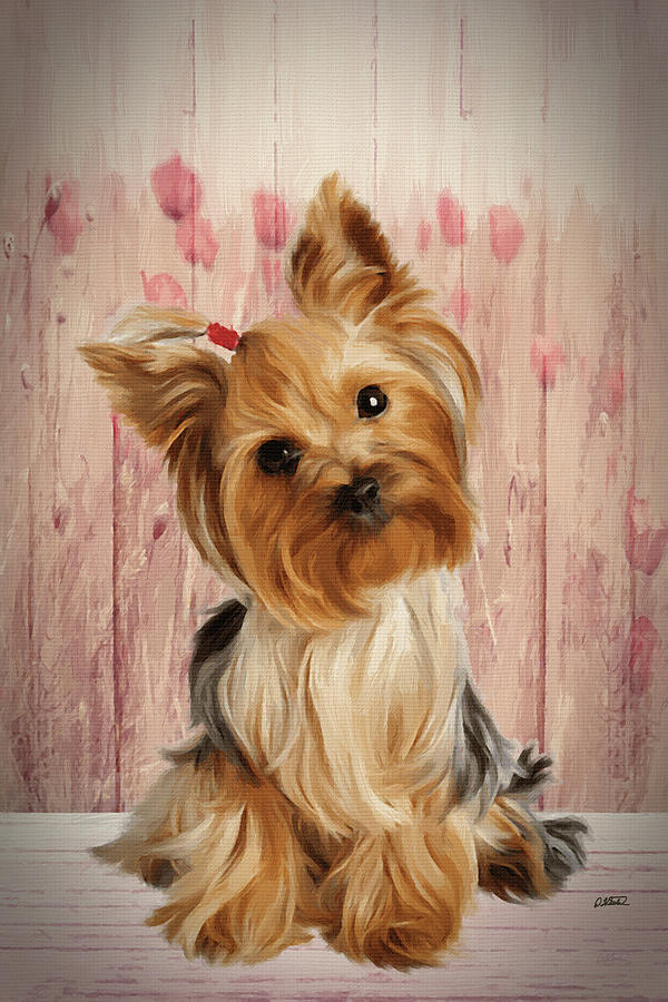Yorkshire Terrier Puppy - Dwp1352654 Painting