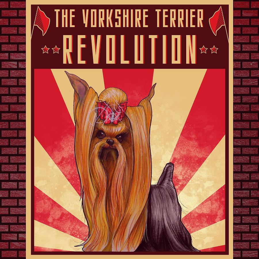 Yorkshire Terrier REVOLUTION  Drawing by John LaFree