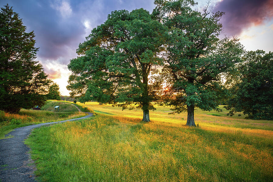 Yorktown Battlefield at Golden Hour Photograph by Rachel Morrison Yorktown Battlefield at Golden Hour Photograph by Rachel Morrison
