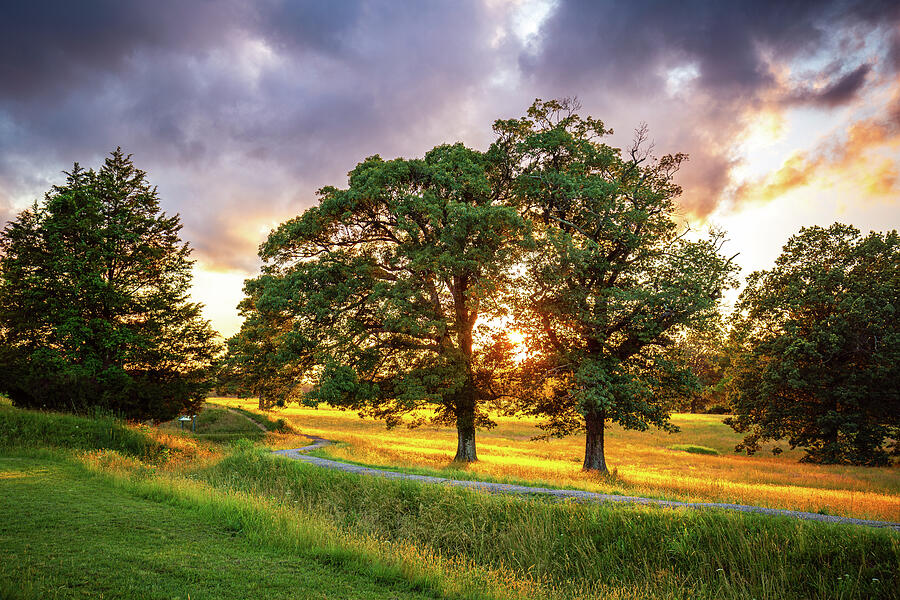 Yorktown Battlefield Sunset Trees Photograph by Rachel Morrison Yorktown Battlefield Sunset Trees Photograph by Rachel Morrison