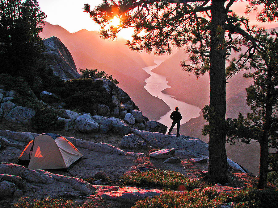 Yosemite Campsite Photograph by Neil Pankler