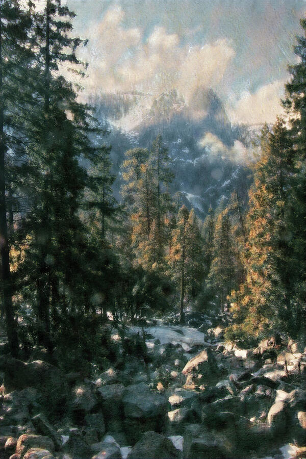 Yosemite Down Stream Photograph by Norma Brandsberg