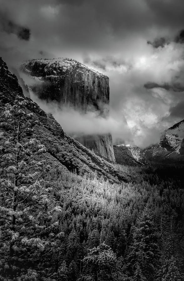 Yosemite El Capitan Glow Photograph by Norma Brandsberg