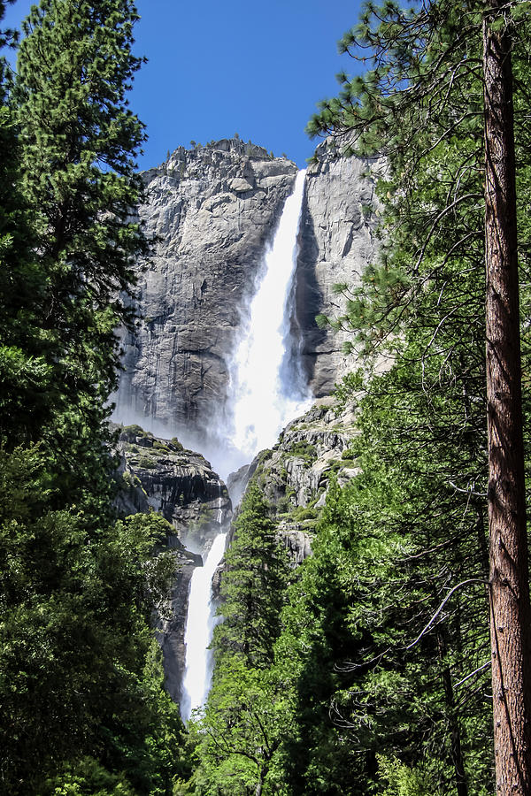 Yosemite Falls 1 Photograph by Dawn Richards