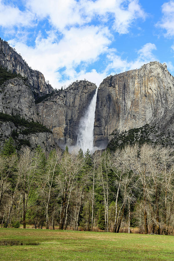 Yosemite Falls Photograph by Alberto Zanoni
