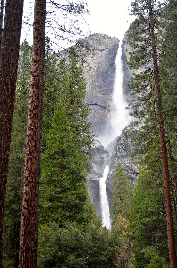 Yosemite Falls Photograph by Alex King