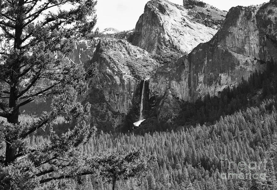 Yosemite Falls Black White Landscape  Photograph by Chuck Kuhn
