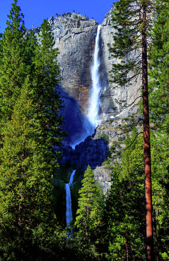 Yosemite Falls Photograph by Robert Blandy Jr