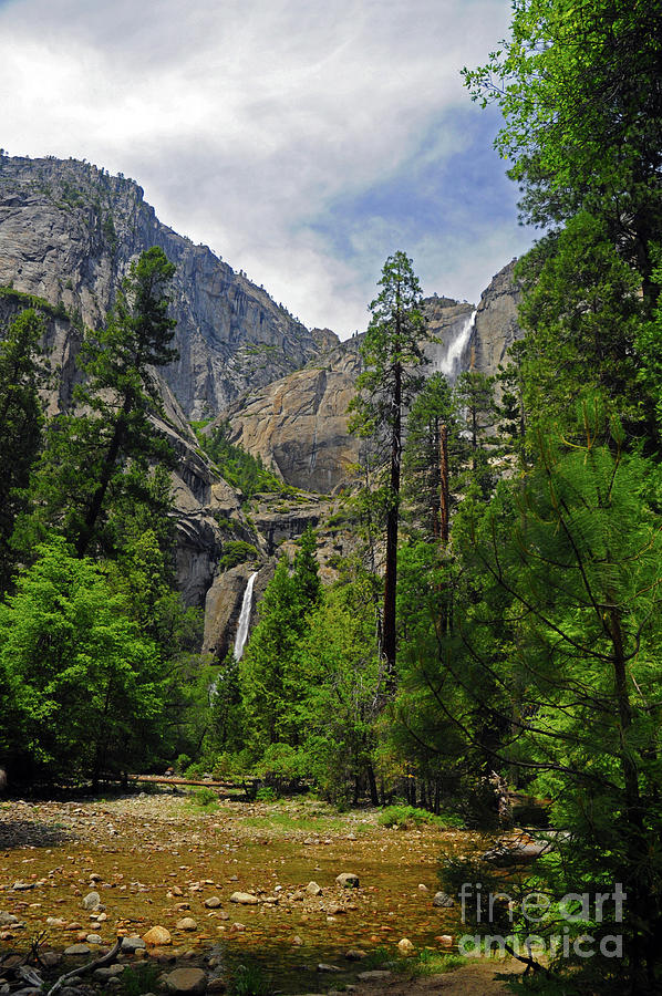Yosemite Falls Photograph by Cindy Murphy